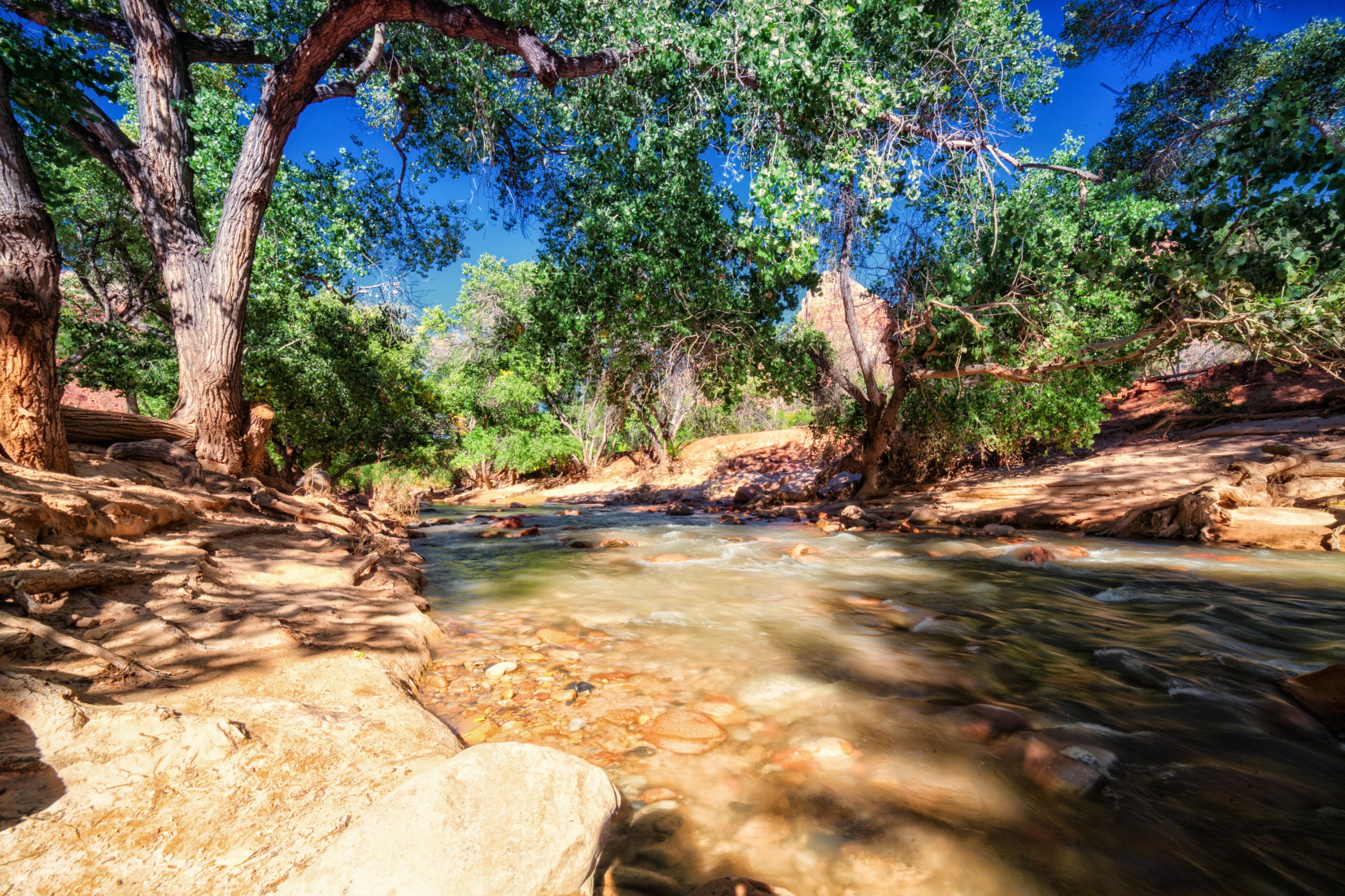 Riverside Picnic Cable Mountain Lodge at Zion National Park