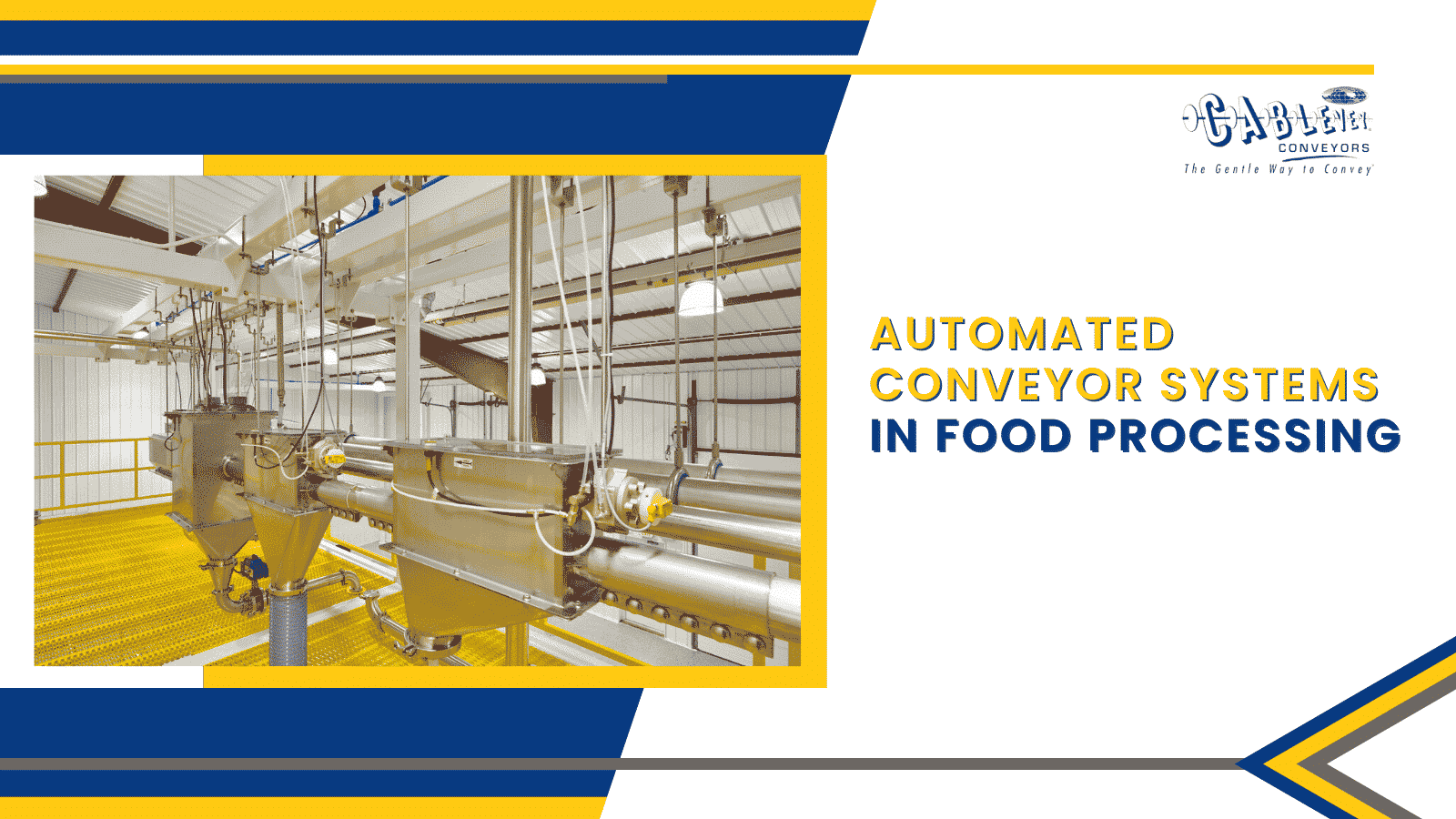 Automated Conveyor Systems In Food Processing Cablevey® Conveyors