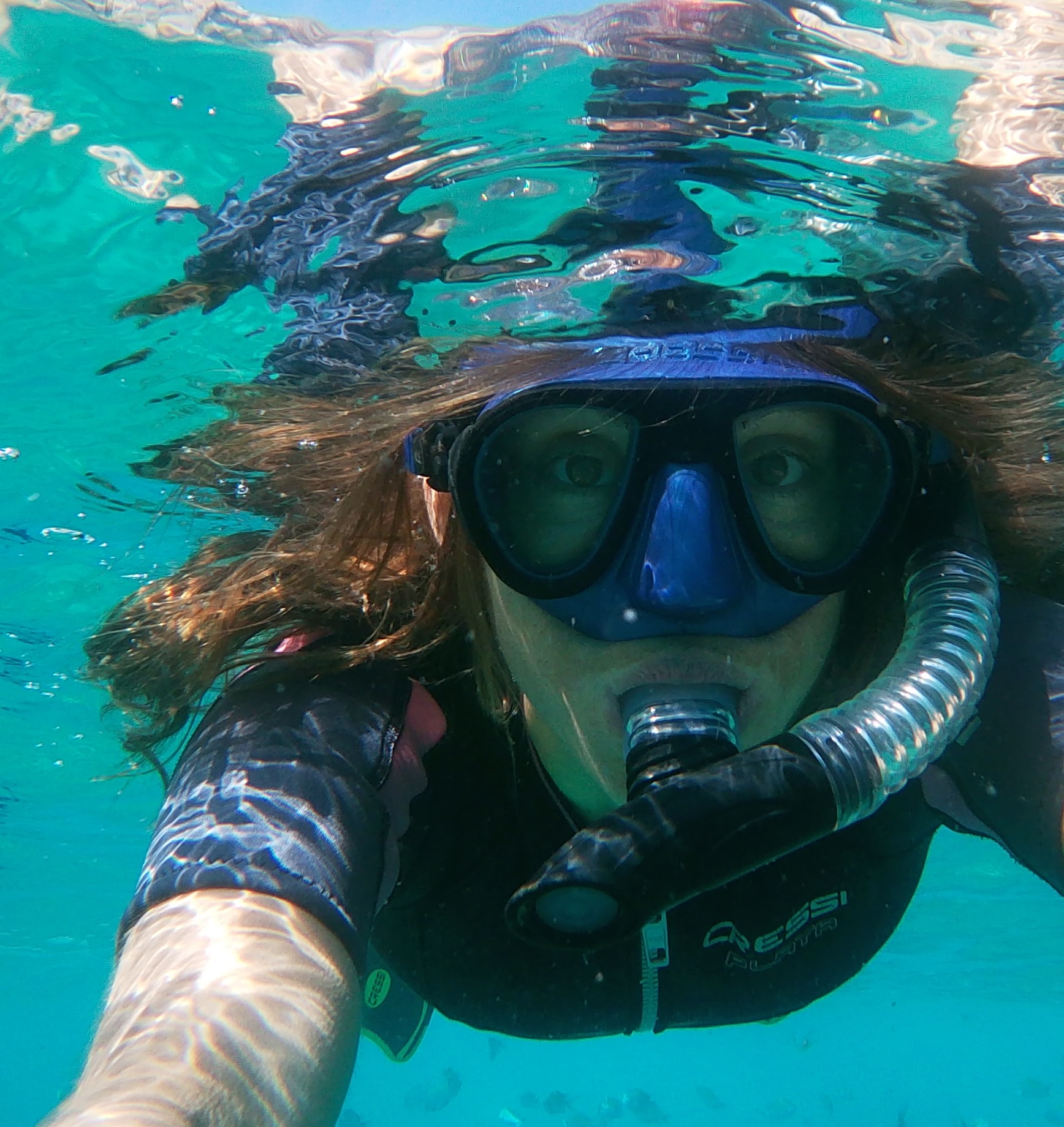 Snorkel Trips Cabo Excursions Snorkeling in Cabo, La Paz & Mag bay