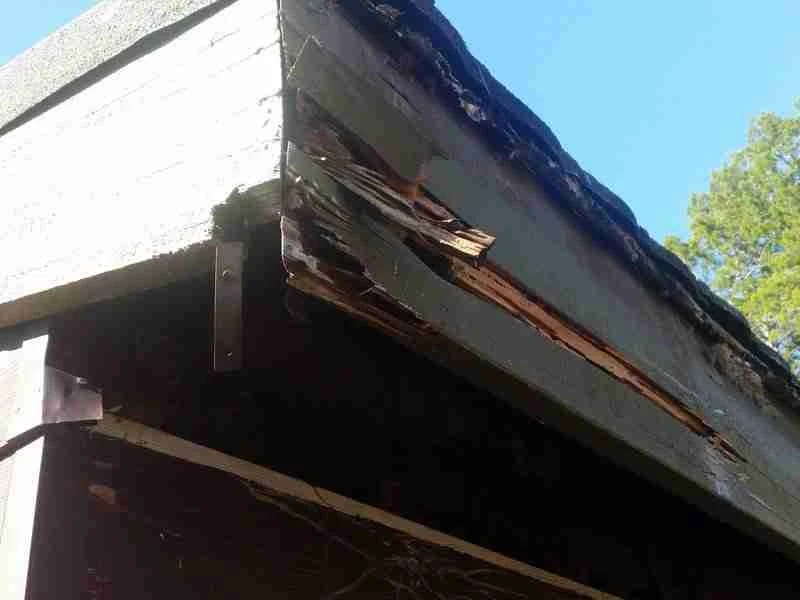 Pest Control Caboolture & Termite Treatments by Sunshine Pest Management