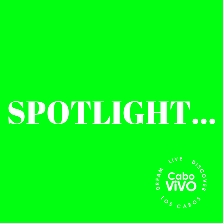 Marketing Campaigns CaboViVO