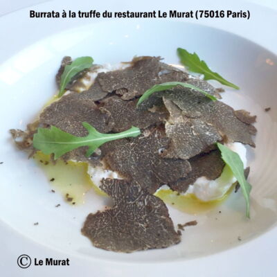 Burrata à la truffe : découvrez les recettes de Cuisine Actuelle