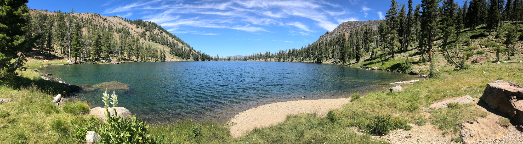 Trinity County Information & Resources for Children & Families