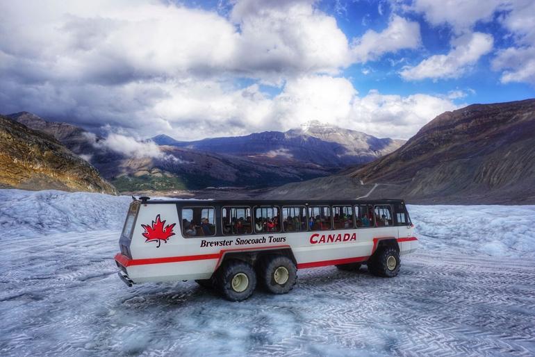 Columbia Icefield Tour Including The Glacier Skywalk From Calgary Triphobo