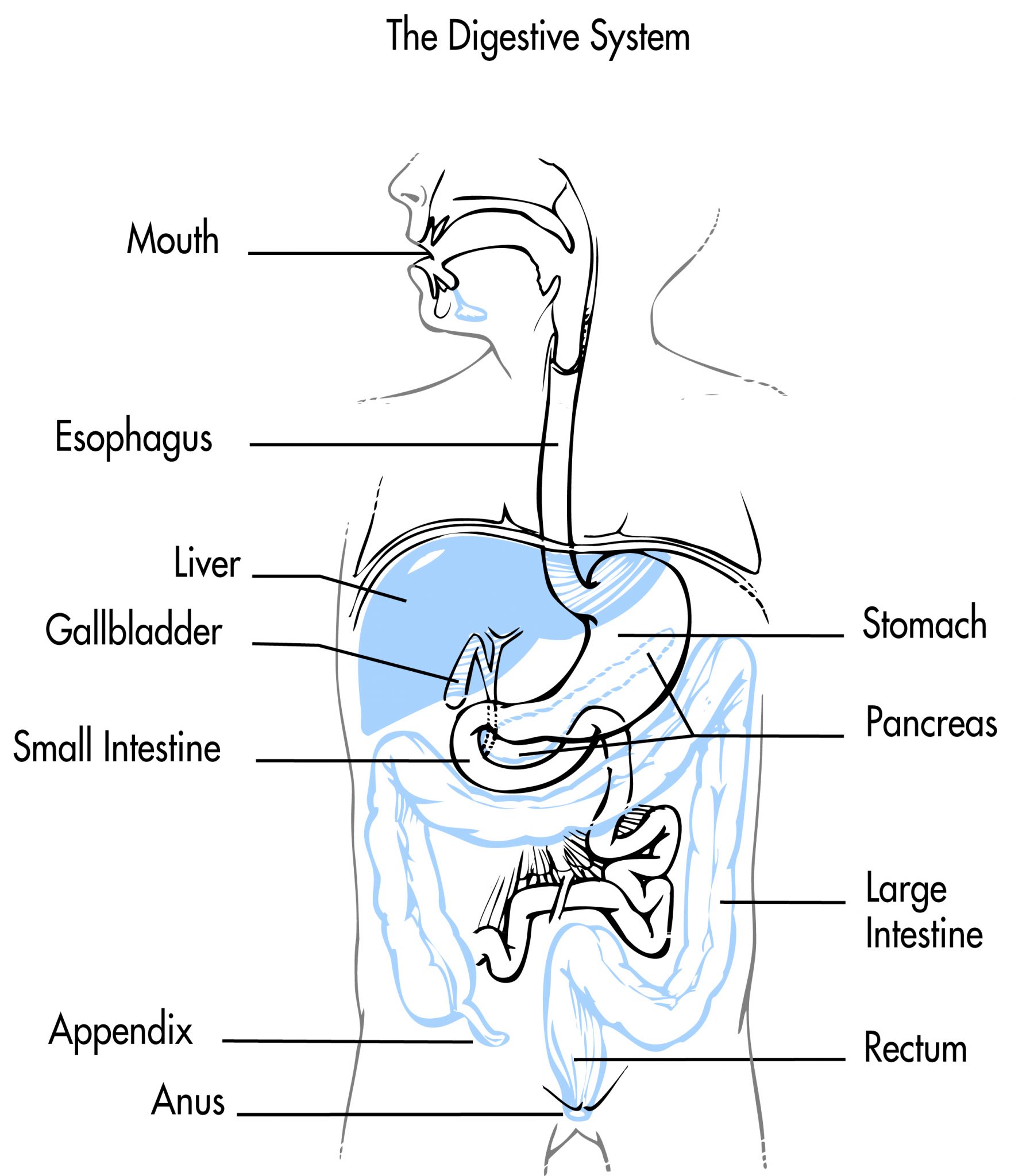 G Tube Placement Cpt Code