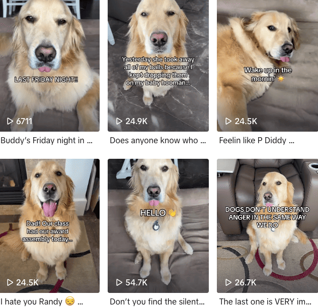 42 Top Dog Influencers To Collaborate With Fastlane