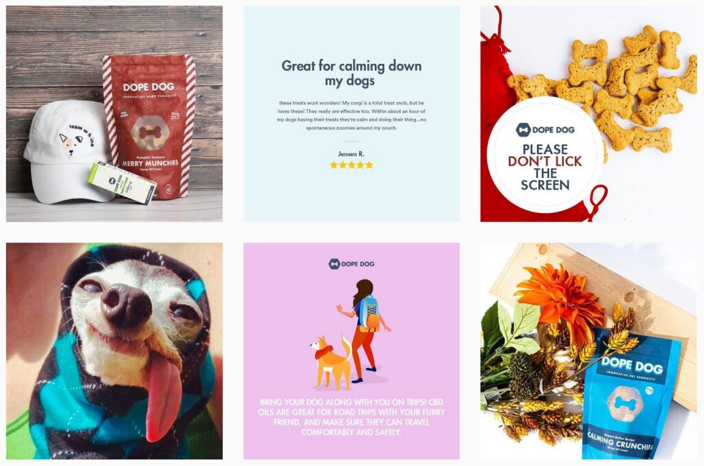 14 Pet Brands Looking for Dog & Cat Loving Influencers Afluencer