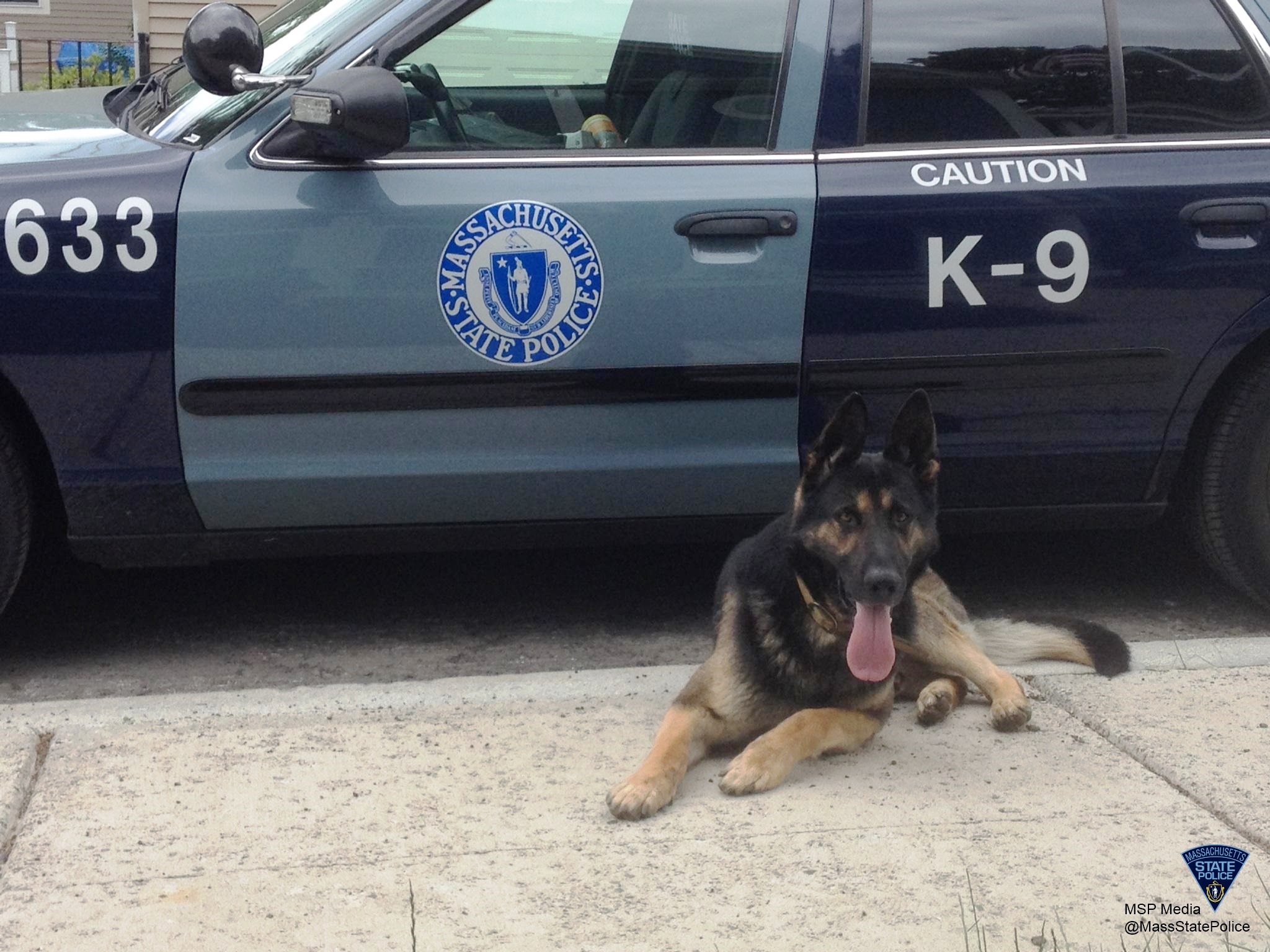 17 Dog Heroes of the Massachusetts State Police