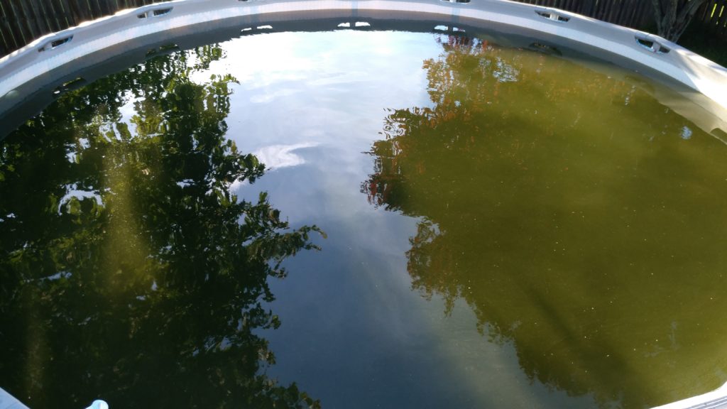 Above Ground Swimming Pool Guide For New Homeowners How To Clean This Money Pit And Tips To Avoid My 1000 Mistake