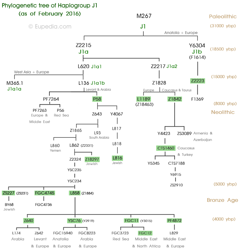 Haplogroup J1 (YDNA) Eupedia