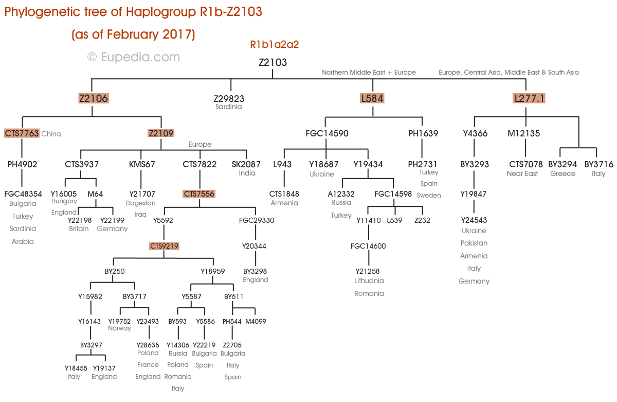 Haplogroup R1b (YDNA) Eupedia