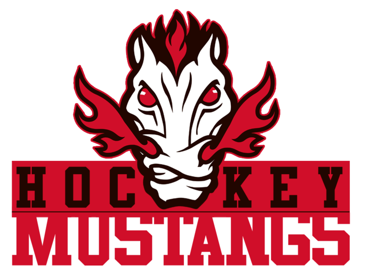 Organisation HAL Mustangs Hockey L'AncienneLorette