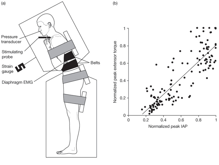 Jonathan Williams Krop Creative Database
