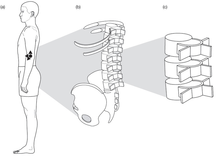 Jonathan Williams Krop Creative Database