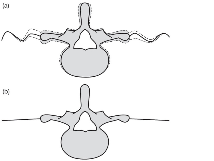 Jonathan Williams Krop Creative Database
