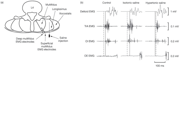 Jonathan Williams Krop Creative Database