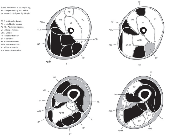 Jonathan Williams Krop Creative Database