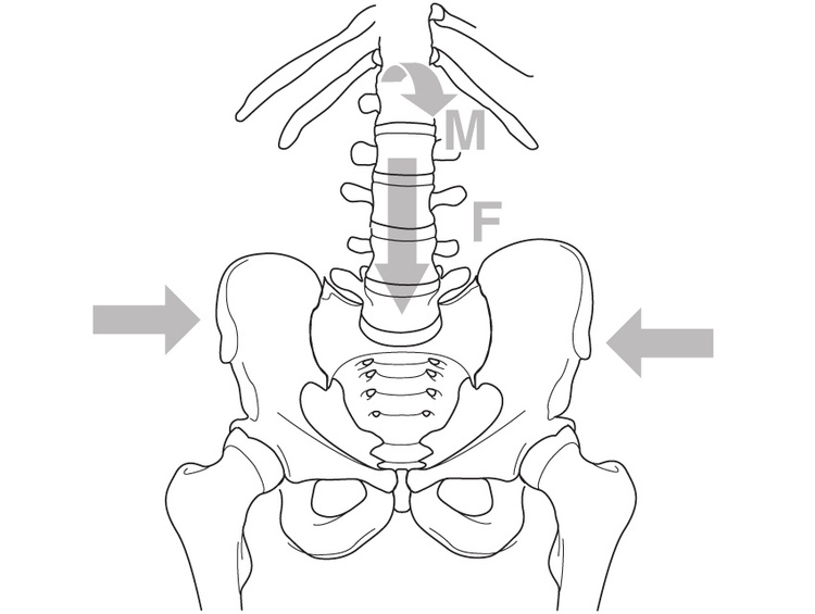 Jonathan Williams Krop Creative Database