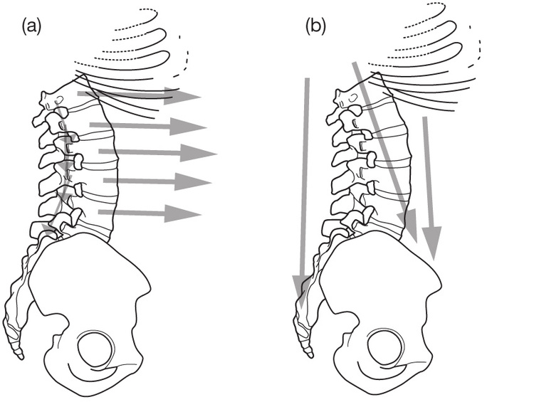 Jonathan Williams Krop Creative Database