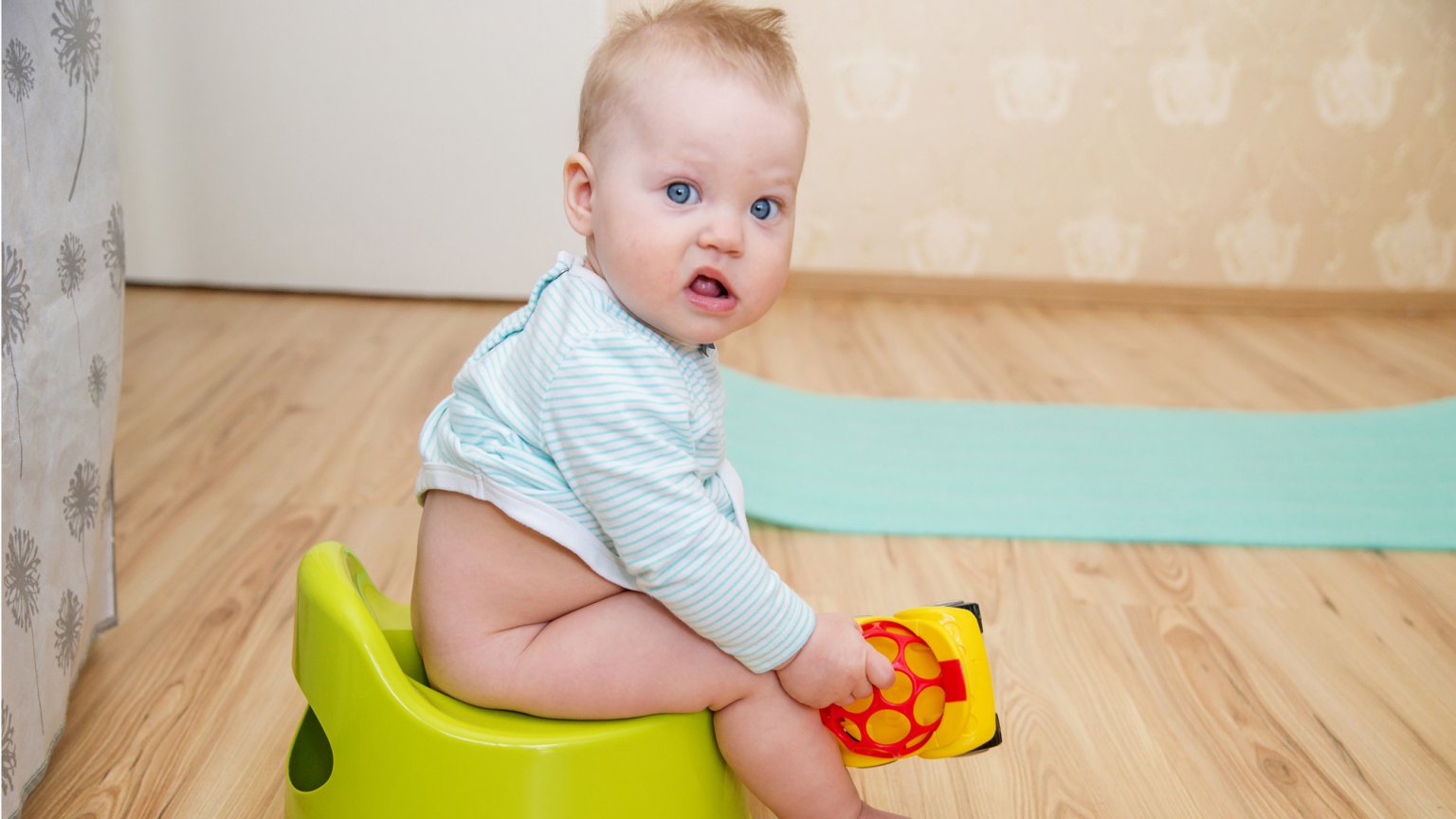 Quel est le meilleur pot pour bébé ?