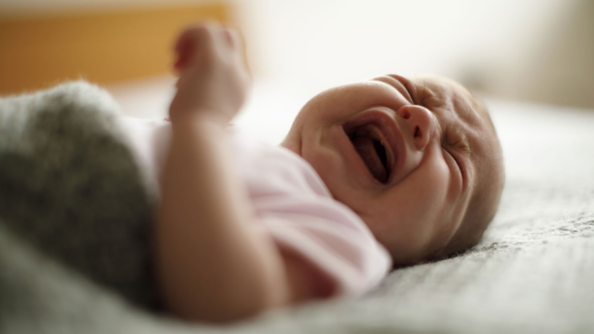 Bébés nés sans bras la piste des pesticides est très