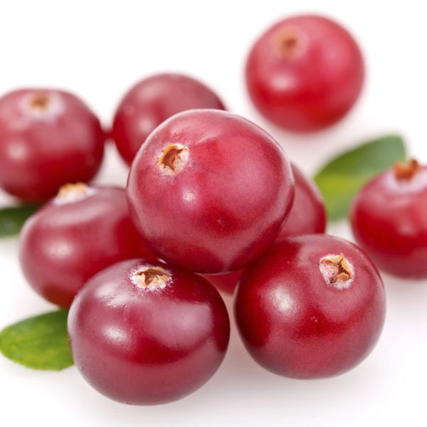 La Cranberry, ce petit fruit qui fait du bien !