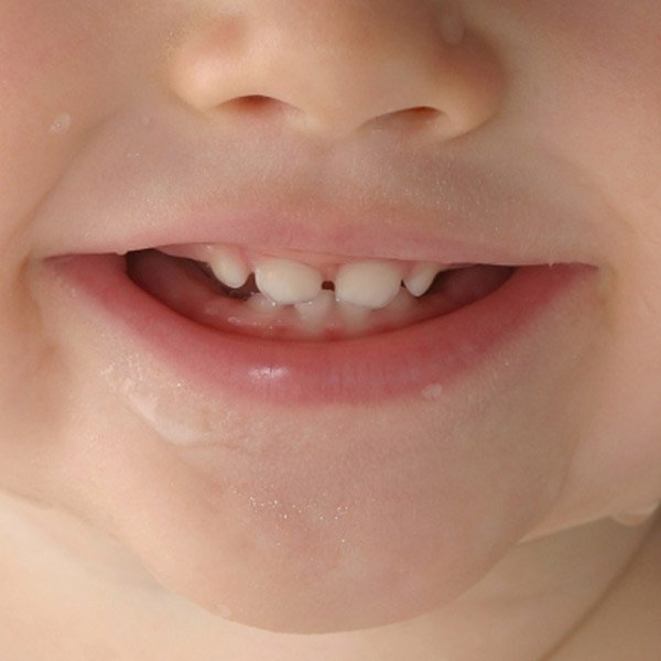 Dents du nourrisson quand bébé faitil ses premières