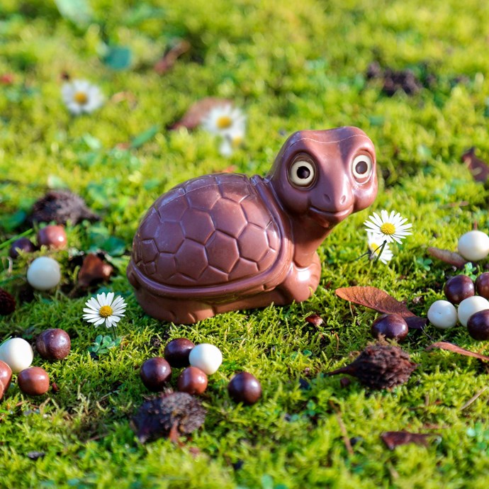Tortue en chocolat bio et équitable Nature & Découvertes