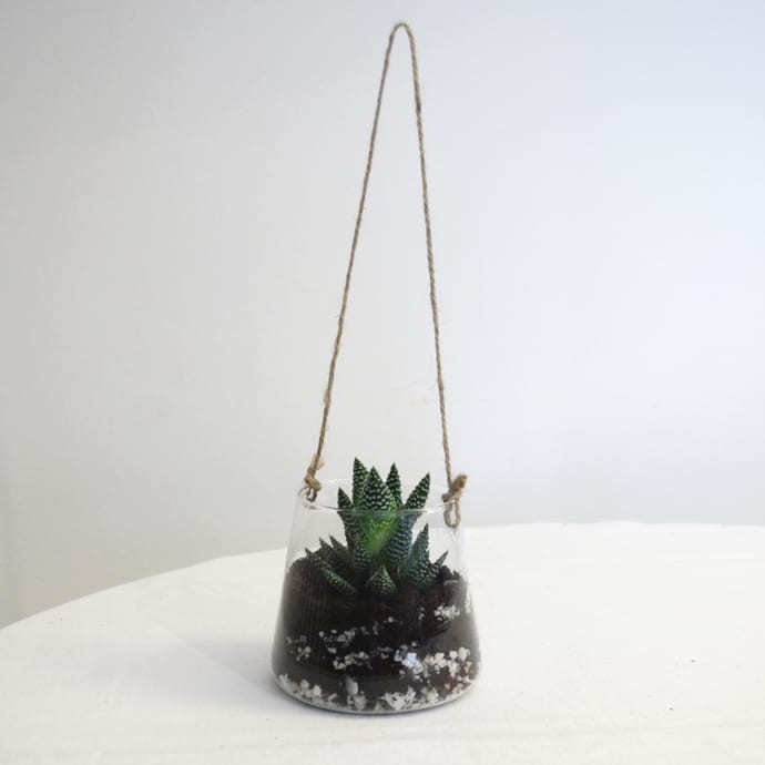 Kit mini terrarium à suspendre corde Nature & Découvertes