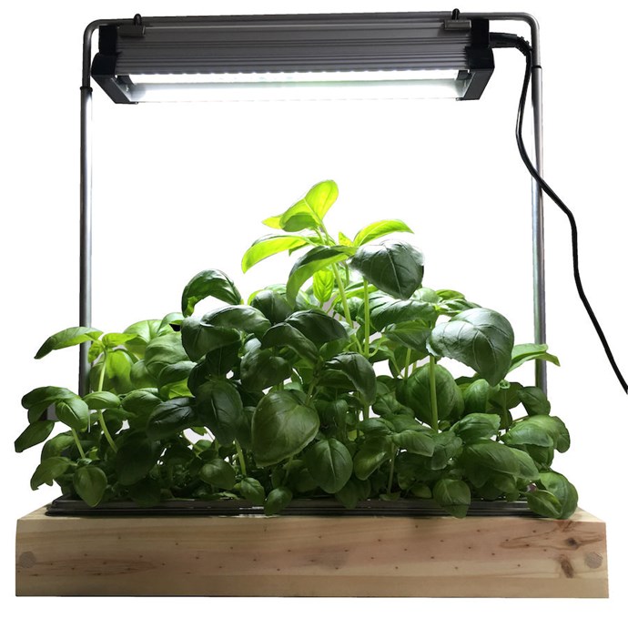 Petit potager d'intérieur Nature & Découvertes