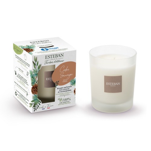 Bougie parfumée 180g cèdre sauvage Nature & Découvertes