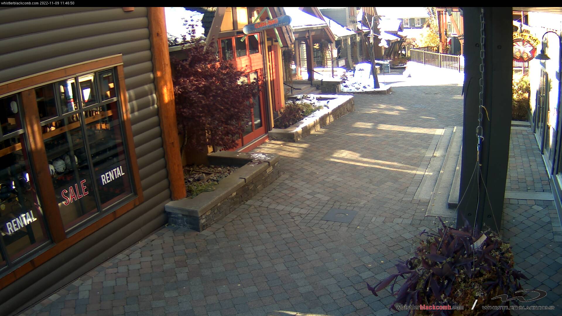 Mountain Cams Whistler