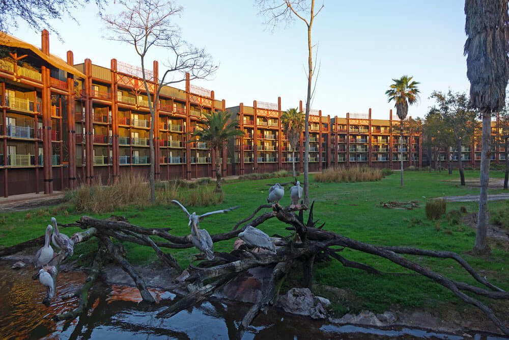 Disney's Animal Kingdom Lodge Best Deluxe Resort