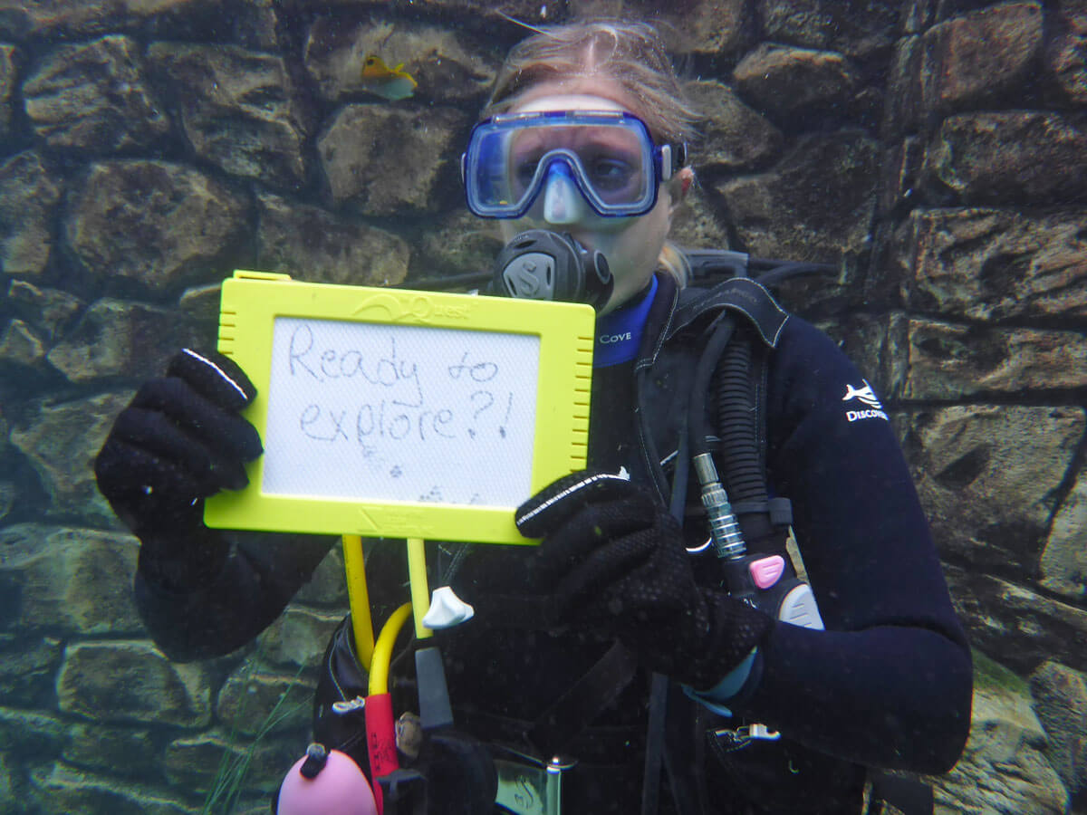 Why Discovery Cove Is One of Orlando's Top Attractions