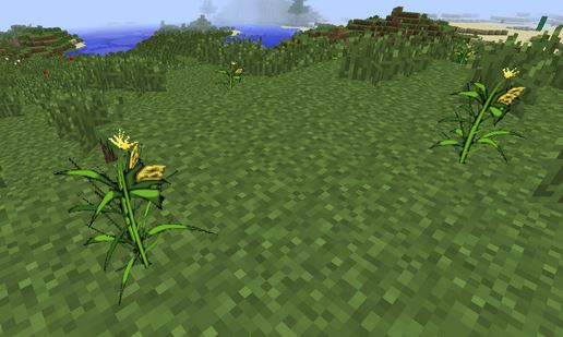 Popcorn Mod 1.8, 1.7.10, 1.7.2 World of Minecraft