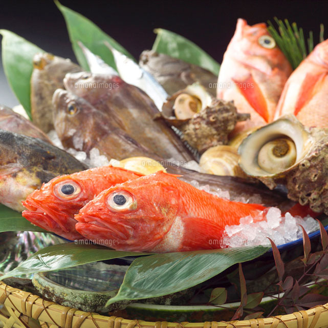 魚介類集合 キンメダイ他[11070000122]｜ 写真素材・ストックフォト・画像・イラスト素材｜アマナイメージズ