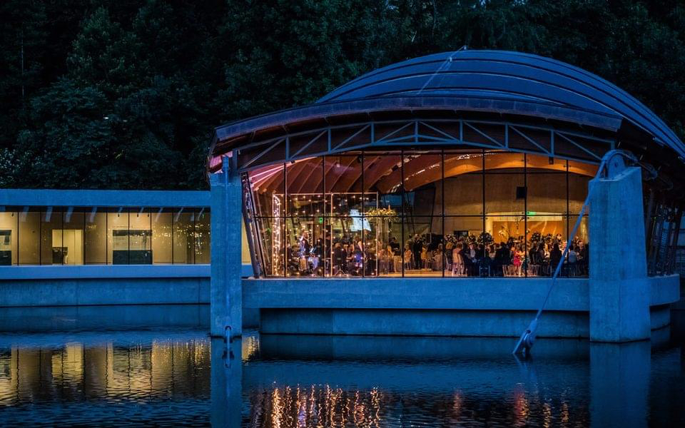 Candlelight6 Jazz Color, Texture and Strength CACHE