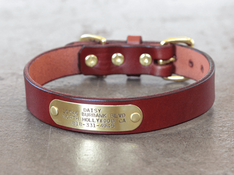 BASIC NAMEPLATE leather dog collar CALIFORNIA COLLAR CO.