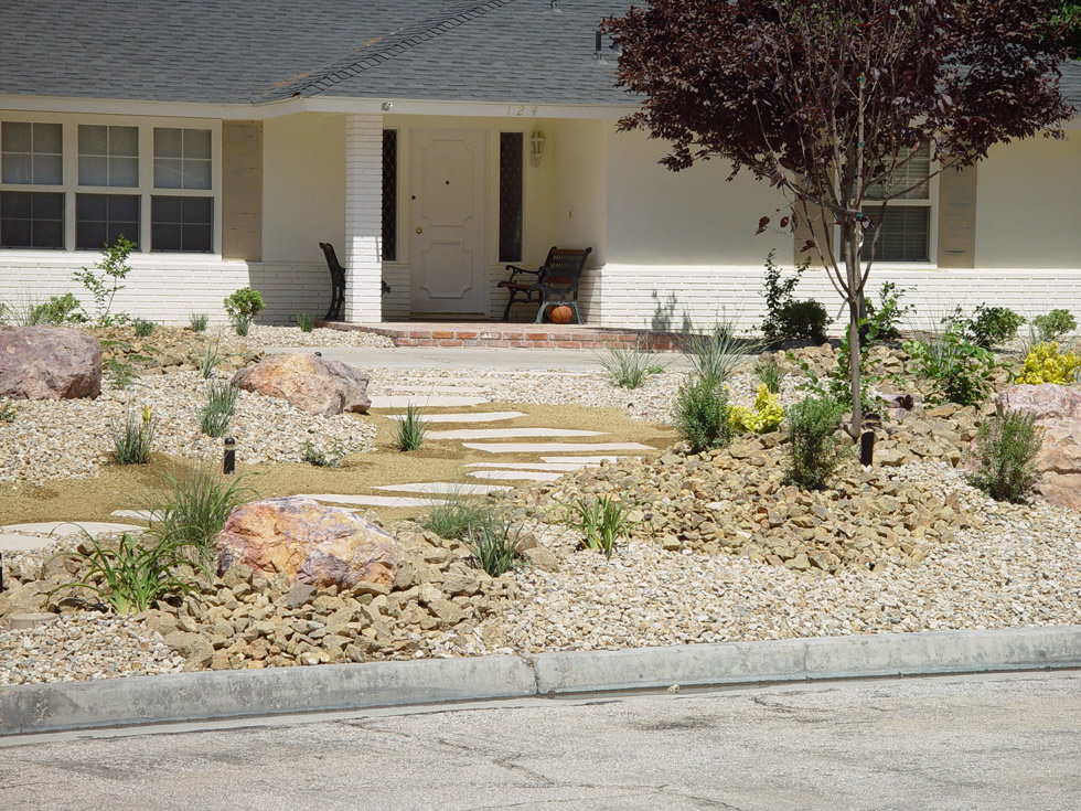 Grass Conversion Large Front Yard Cacti Landscapes