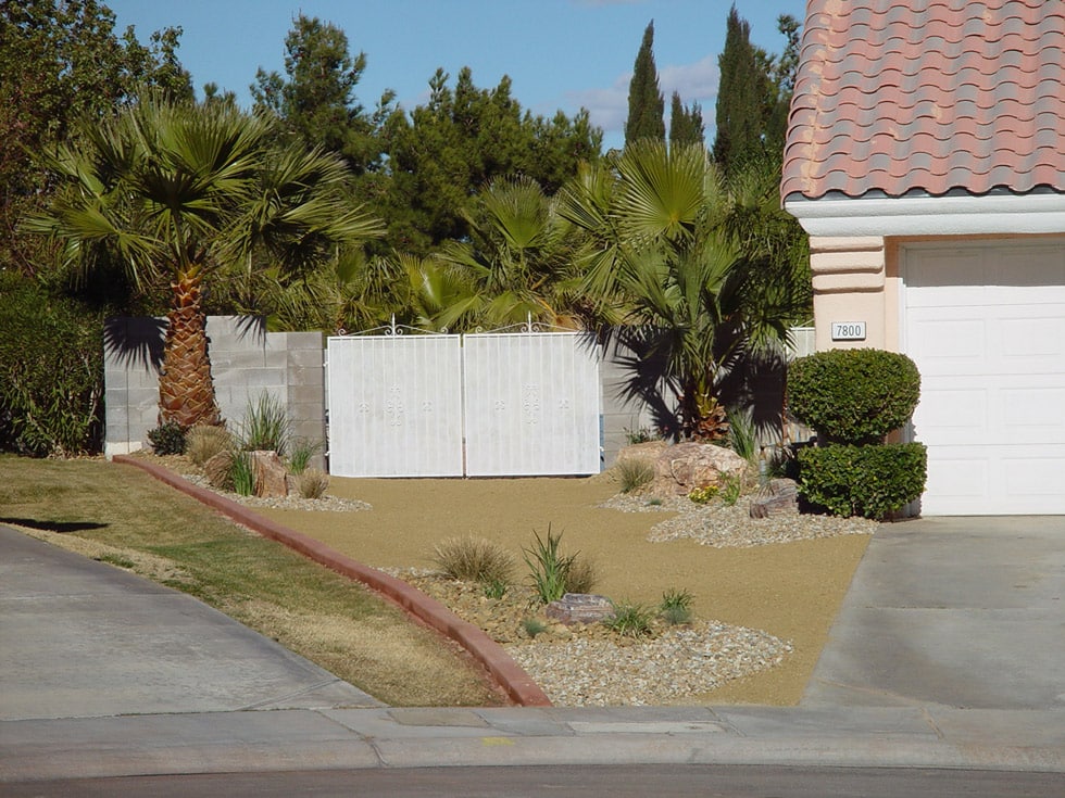 Las Vegas & Henderson, NV Landscaping Images Cacti Landscapes