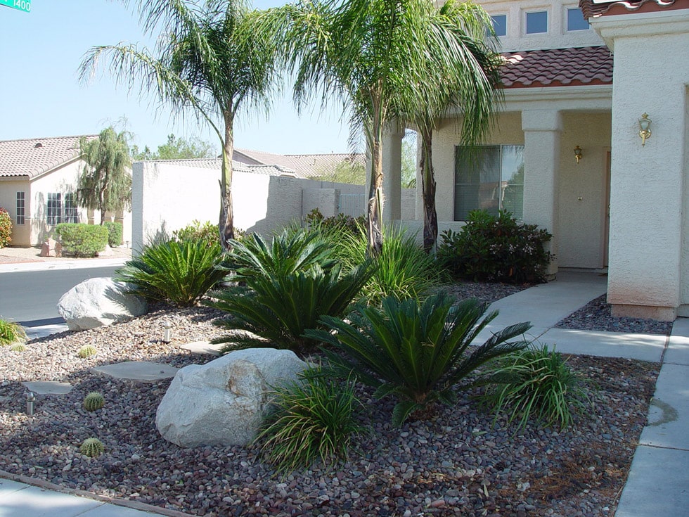 Las Vegas & Henderson, NV Landscaping Images Cacti Landscapes