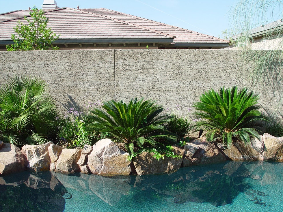 Las Vegas & Henderson, NV Landscaping Images Cacti Landscapes