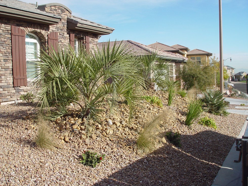Las Vegas & Henderson, NV Landscaping Images Cacti Landscapes