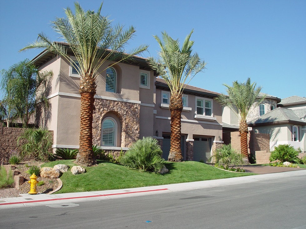 Las Vegas & Henderson, NV Landscaping Images Cacti Landscapes