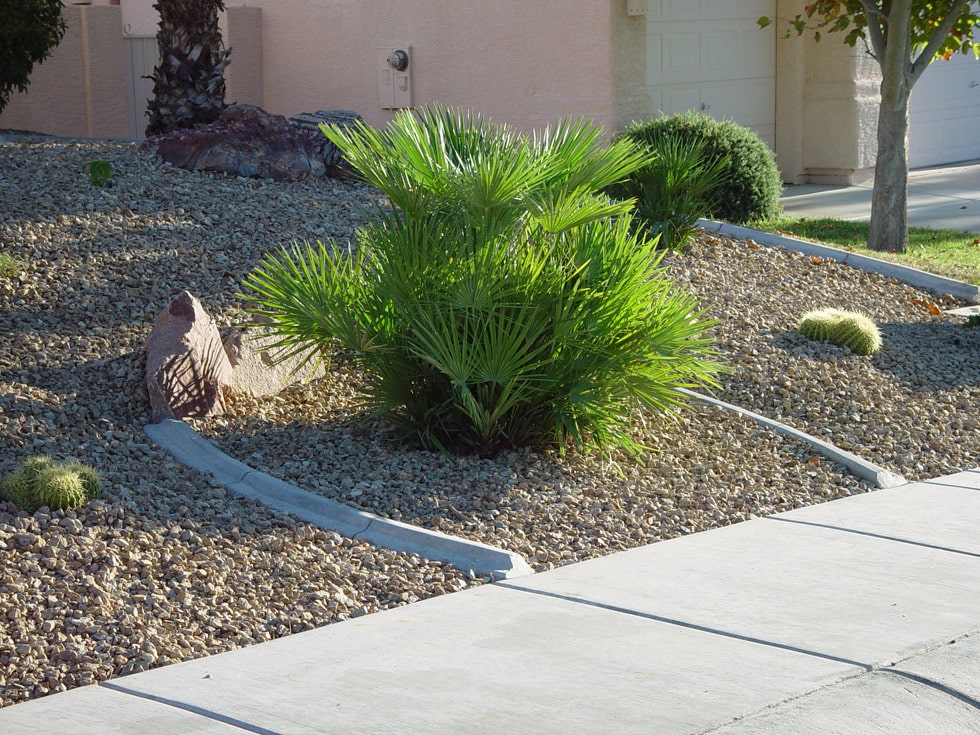 Las Vegas & Henderson, NV Landscaping Images Cacti Landscapes