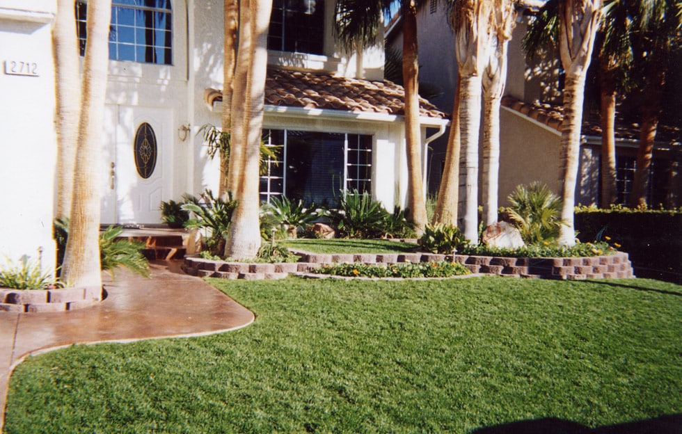 Las Vegas & Henderson, NV Landscaping Images Cacti Landscapes
