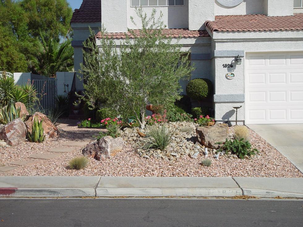 Las Vegas & Henderson, NV Landscaping Images Cacti Landscapes