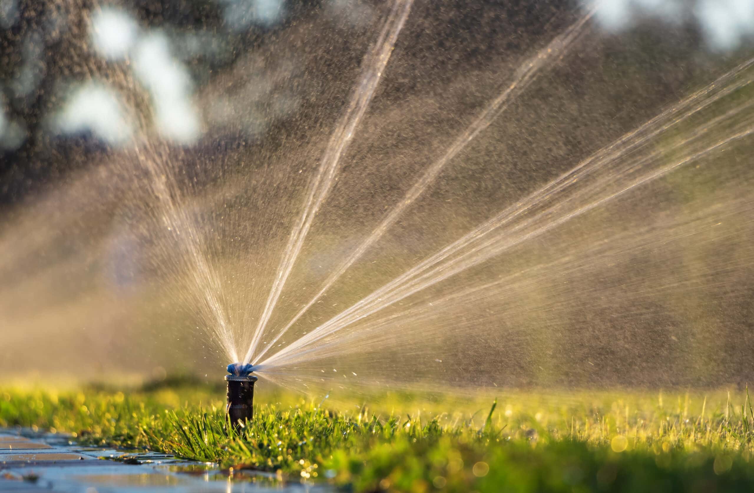 Sprinkler System and Irrigation Repair in Las Vegas, NV - Cacti Landscapes