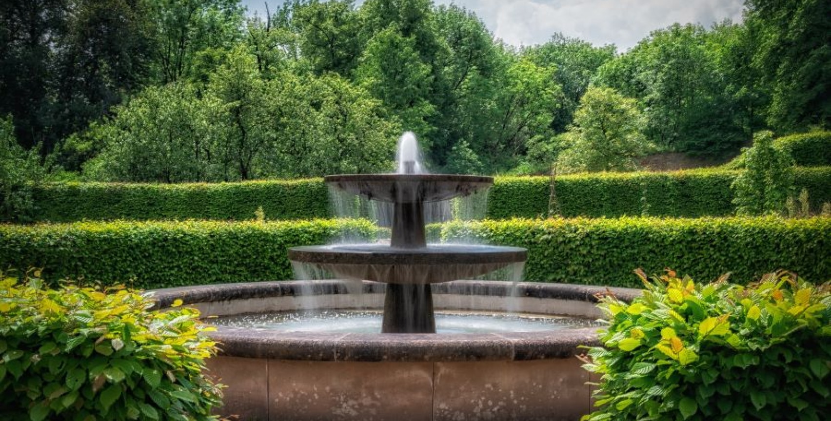 Backyard Water Features for Your Outdoor Living Space Cacti