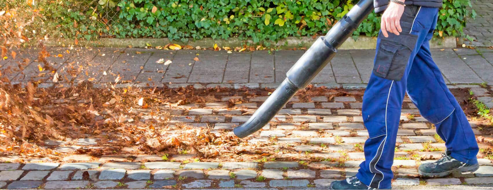 Yard Clean Up in Las Vegas, NV Cacti Landscapes